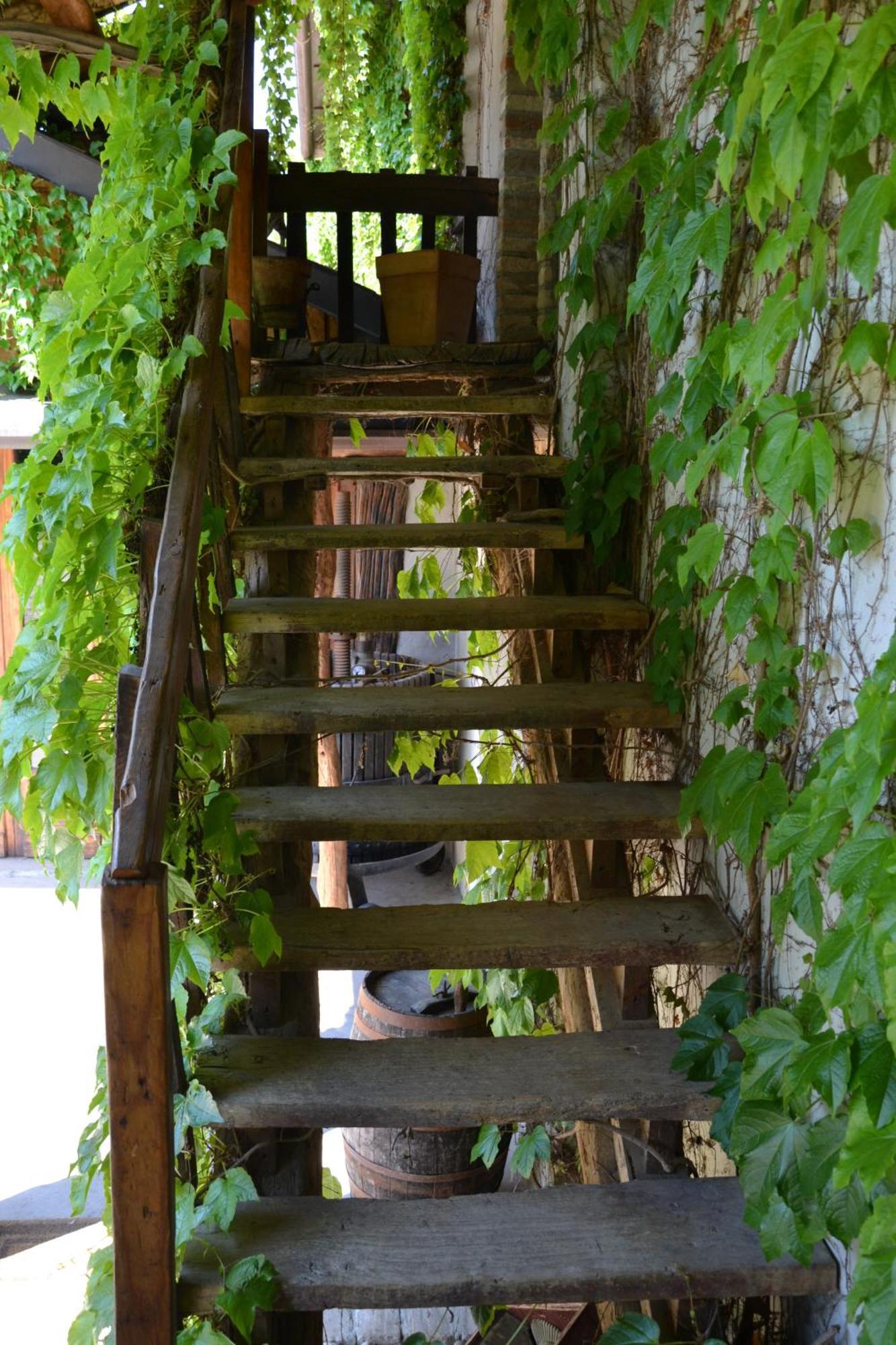 Agriturismo Torrazzetta Vila Casteggio Quarto foto